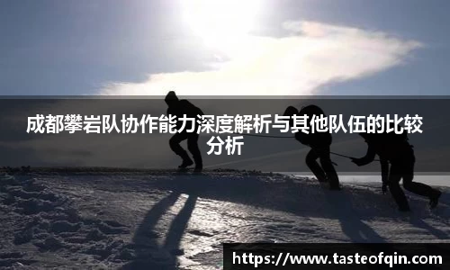 成都攀岩队协作能力深度解析与其他队伍的比较分析
